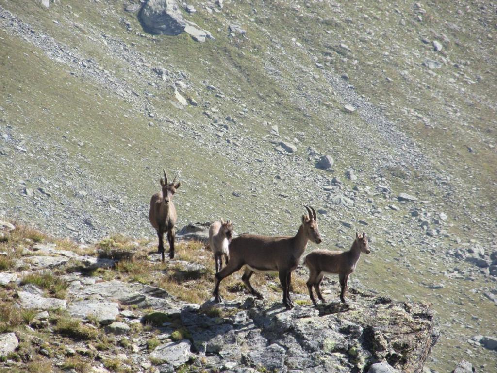 Отель Miramonti Вальтурнанш Экстерьер фото